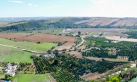 Panorama bucolico nei pressi di Setenil de las Bodegas in Andalusia, Spagna