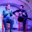 Spettacolo di flamenco a Siviglia in Andalusia, Spagna