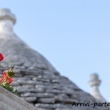 Fiore e Trulli ad Alberobello, Puglia