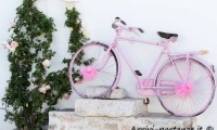 bicicletta-rosa-alberobello-puglia