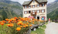 Hotel all'Alpe Devero, Piemonte