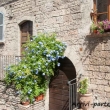 Scorcio di una abitazione del centro storico di Assisi, Umbria