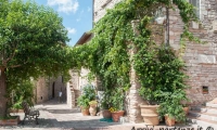 Scorcio di una via del centro storico di Assisi, Umbria