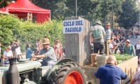 Festival delle Sagre, Asti