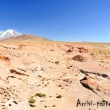 Paesaggio ad alta quota, Bolivia