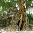 Banteay Kdei, Cambogia
