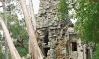 La forza della foresta, Cambogia