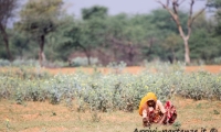 Popolazione-locale-Pozzo-Chand-Baori-Abhaneri-Rajasthan-India