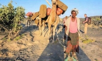 Dromedari e popolazione locale presso la salita sul vulcano, Etiopia