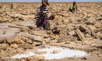 Operai della lavorazione della pietra presso il Lago Assa Ale, Etiopia