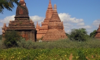 Templi nella valle, Bagan