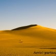 Dune del deserto del Sahara, Egitto
