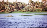 Vegetazione lungo il Nilo, Egitto