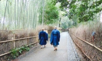 Bosco di bambù, Giappone