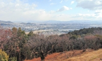 Vista panoramica, Giappone
