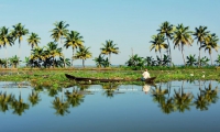 Pescatore, Kerala backwaters