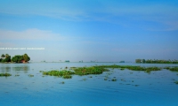 Vembanad lake, Kerala backwaters