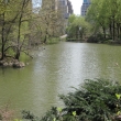 Central Park, New york