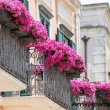 Balconi fioriti nel centro storico, Matera