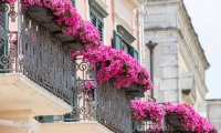 Balconi fioriti nel centro storico, Matera