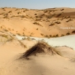 Adrar, da Chinguetti a Ouadane attraverso il deserto