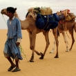 Cammelliere con i suoi cammelli, Mauritania