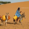 Locale al rifornimento di acqua, Mauritania