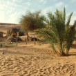 Villaggio di pastori nomadi, Mauritania