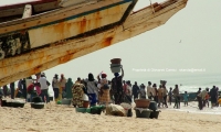 Port de Pèche, Mauritania