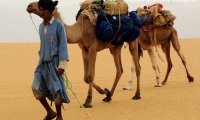 Cammelliere con i suoi cammelli, Mauritania