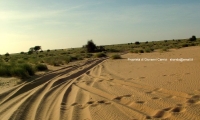 Parc national Du Banc d'Arguin, Mauritania
