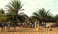 Rifornimento di acqua, Mauritania