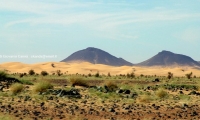 Route del' Espoir, Mauritania