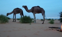 Sosta notturna, Mauritania