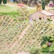 Vitigni in campagna in Toscana al Miniatur Wunderland di Amburgo, Germania