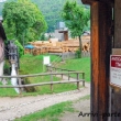 Falegnameria nei pressi di Molveno, Trentino - Alto Adige