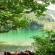 Lago di Tovel, Trentino - Alto Adige