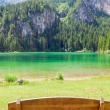 Panchina nei pressi del lago di Tovel, Trentino - Alto Adige