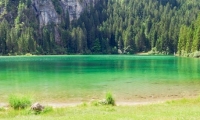 Panchina nei pressi del lago di Tovel, Trentino - Alto Adige