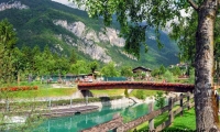Ponte fiorito nei pressi del lago di Molveno, Trentino - Alto Adige