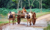 Mezzi di trasporto, Myanmar