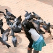 Bimba che gioca con piccioni presso Durban Square a Patan, Nepal