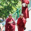 Monaci buddhisti presso il Monastero di Kopan, Nepal