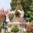 Presso il Monastero di Kopan, Nepal