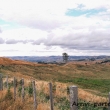 Colline presso Waitomo, Nuova Zelanda
