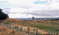 Colline presso Waitomo, Nuova Zelanda