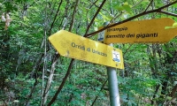 Indicazioni presso gli Orridi di Uriezzo, Piemonte