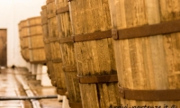 Botti di legno nelle cantine della fabbrica della birra di Pilsen, Repubblica Ceca