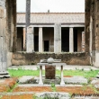 Giardino della Casa del Fauno, Pompei