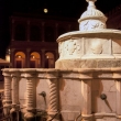 Fontana della Pigna alla sera, Rimini